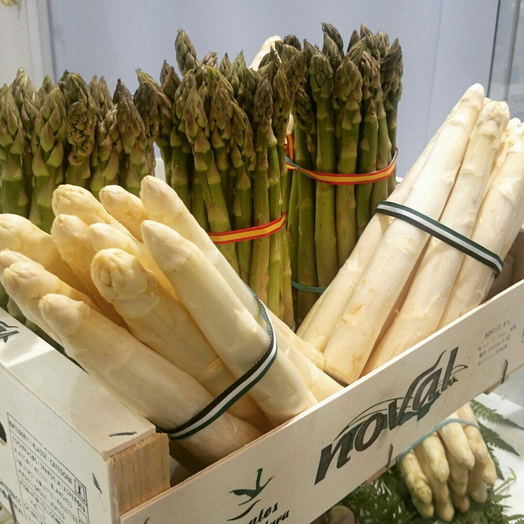 Marta Elena Ramírez tweet media