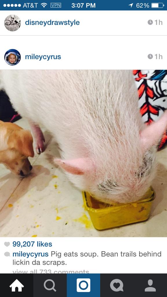 mackenzie__O2l's tweet image. How did they get a picture of you😂 @HusseiniZahra