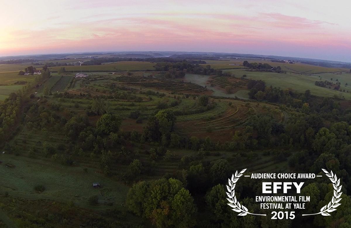 Enviro Film Festival tweet media