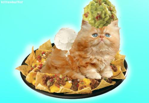 TheaterOfRetail's tweet image. Great app, great tacos, great work -- @tresslieberman @jeffmjenkins @ashley_sioson goo.gl/nZkmKd #WalletLess