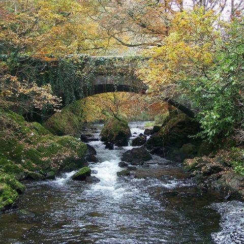breeheritage's tweet photo. A shout out for the new Bree Tidy Towns facebook page :) https://t.co/sYY2CBIH3t http://t.co/T7VWBiqX0A