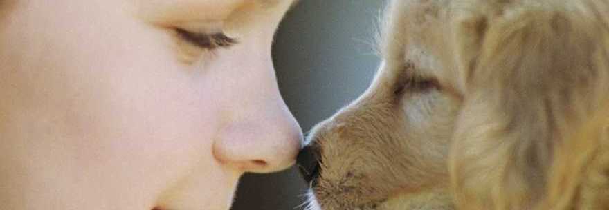 leggoit's tweet photo. #Metalan Meglio il #cane della #suocera : ecco i risultati di un #sondaggio sulla #famiglia http://t.co/5iDsnWxpoX http://t.co/ppDD6eucbB