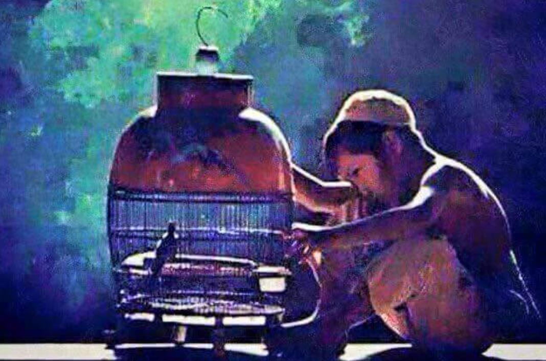 منیش وه ک و توم....به س خانووه که ی من گه وره تره!!!