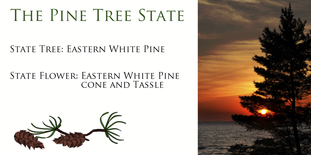 #Maine (Pine Tree State) became the 23rd state on March 15, 1820. Maine #trivia: bit.ly/1CCTb73 #USStateFacts