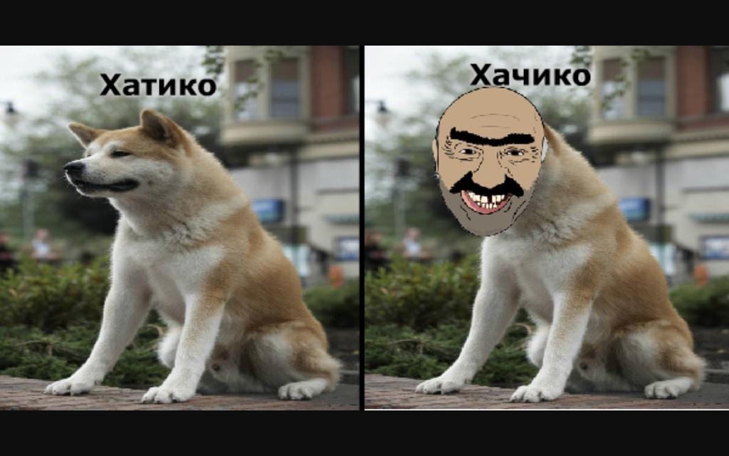 Картинки хатико приколы, днем подруги картинки