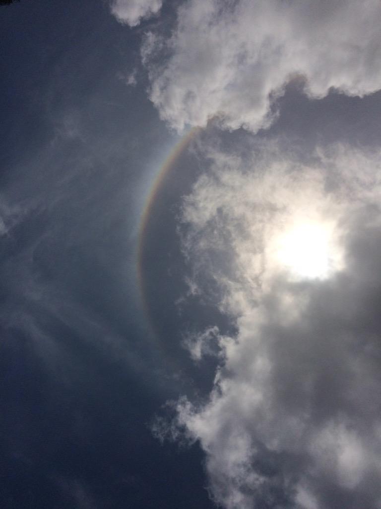 harry (@dtintelen) on Twitter photo 