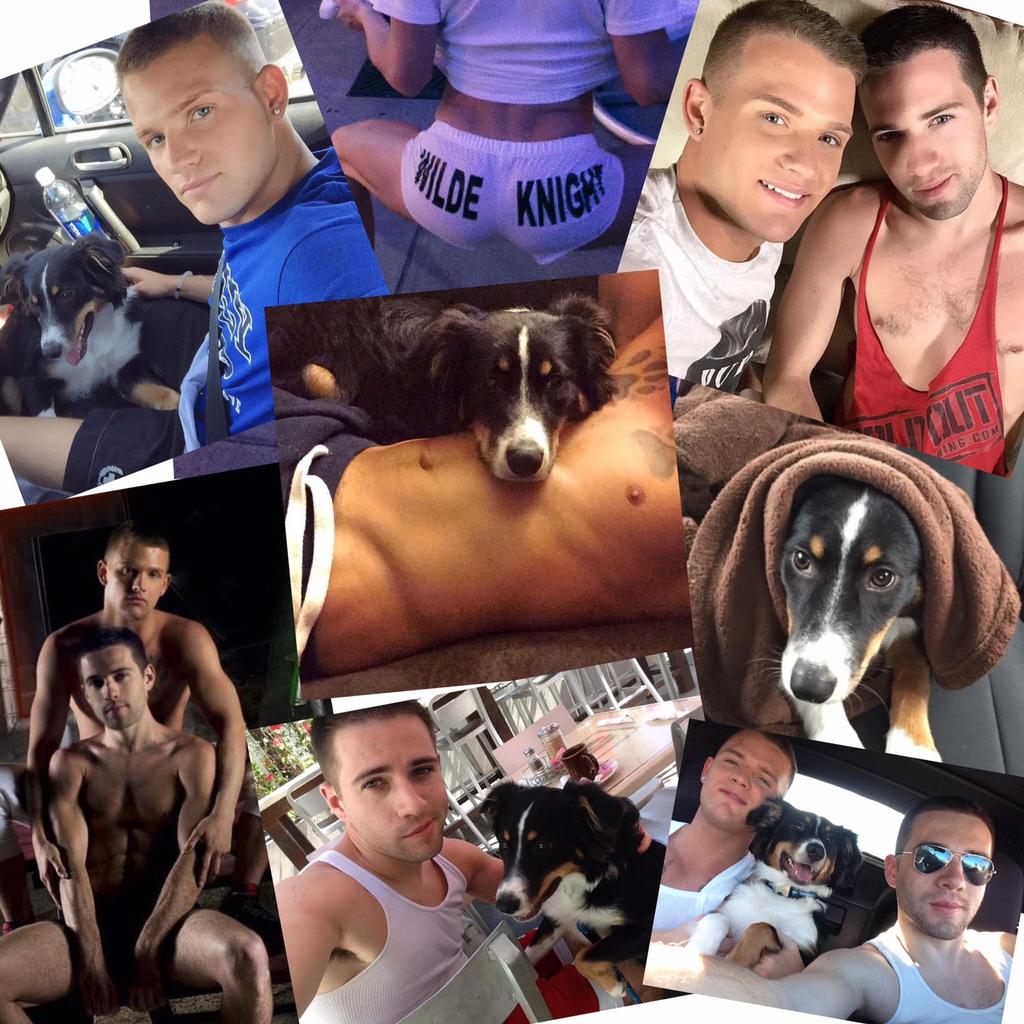 missmariekristy's tweet photo. Super #MCM's @BrandonWildeXXX & @DylanKnightXXX
& #SuperPup Jazmine
#supersweetandsexy #naughtyandnice #WildeKnight http://t.co/dwV4ESDeUZ