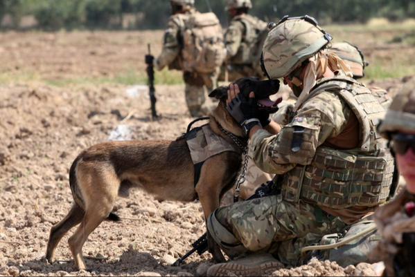 Sgto_Febre's tweet photo. Thank You #MilitaryMonday @L_Febre @USAHEROSALUTE @SEALofHonor #USArmy #NavyseaLs #ops #specialforc #AmericanSniper http://t.co/vTaZ5ya9Dx