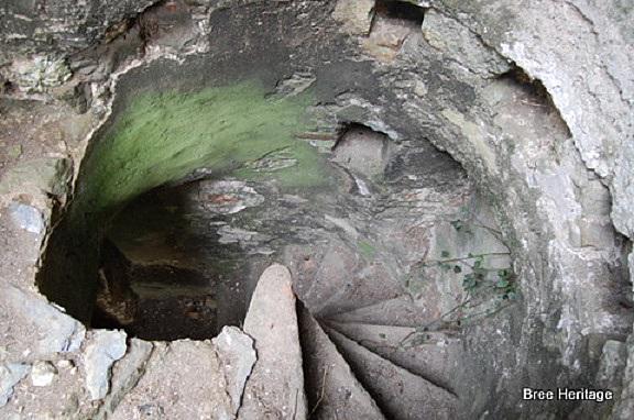breeheritage's tweet photo. Spiral staircase inside Macmine Castle, Wexford. This medieval fortress was an ancestral home of the Fitzhenry family http://t.co/StEWUBNHqu