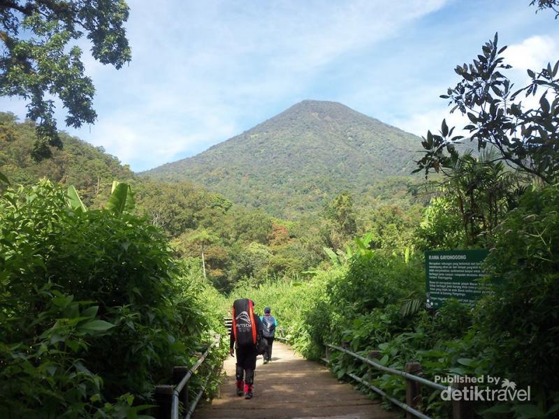 Menikmati 3 Curug Cantik di Kaki Gunung Pangrango tinyurl.com/m3gkf4u via <a href="/detiktravel/">detikTravel</a>