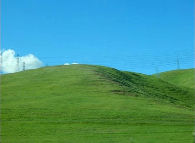 TriIIPosts's tweet image. So I saw windows XP on my road trip to California 😭