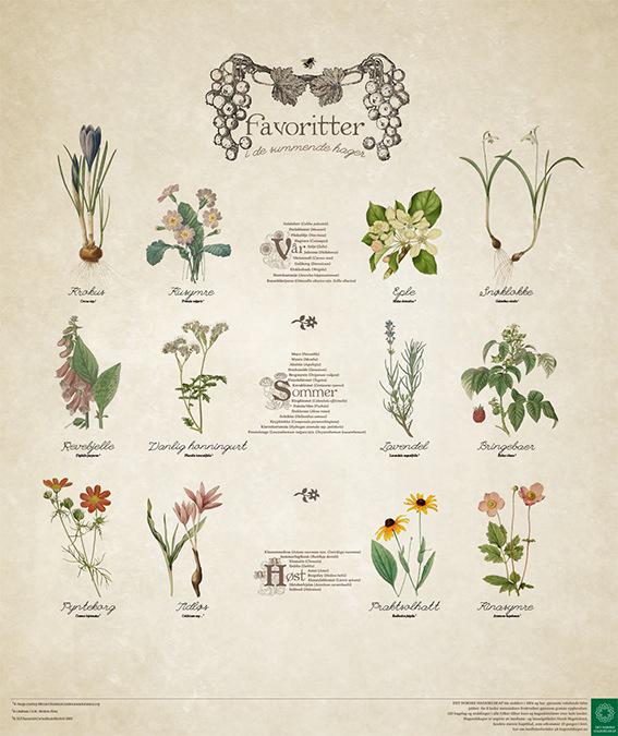 Hageselskapet's tweet photo. #summendehager på facebook med ny plakat. Gamle plantetegninger, botanisk korrekte, av humlefavoritter. #reddhumla http://t.co/uO43fMHYvQ
