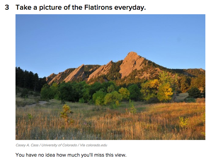 Forever Buffs 🦬 tweet media