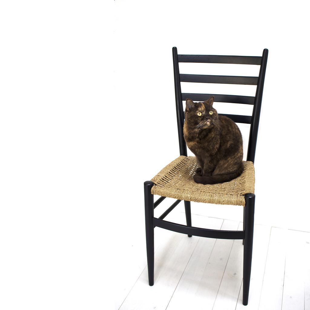 Snorhaar tweet media