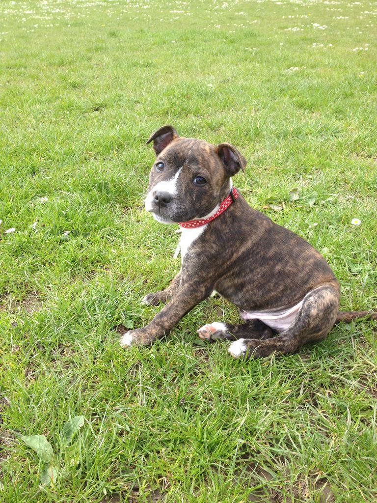 markenos19's tweet image. 