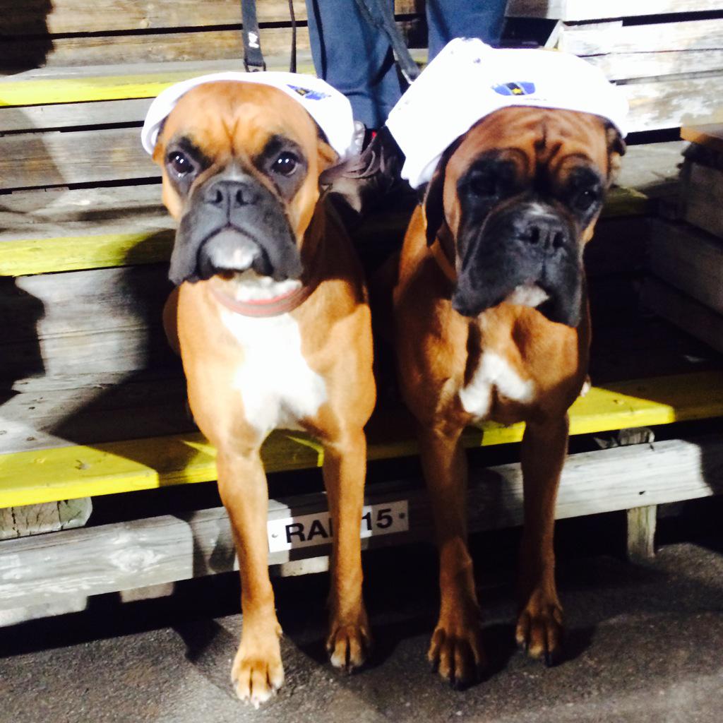 Ebba Busch On Twitter Supersupportrarna Bella Och Alice Pa Hemmapremiaren Dar Siriusfotboll Vinner 3 0 Superettan Uppsalaarblasvart Http T Co B0lfkh62l3