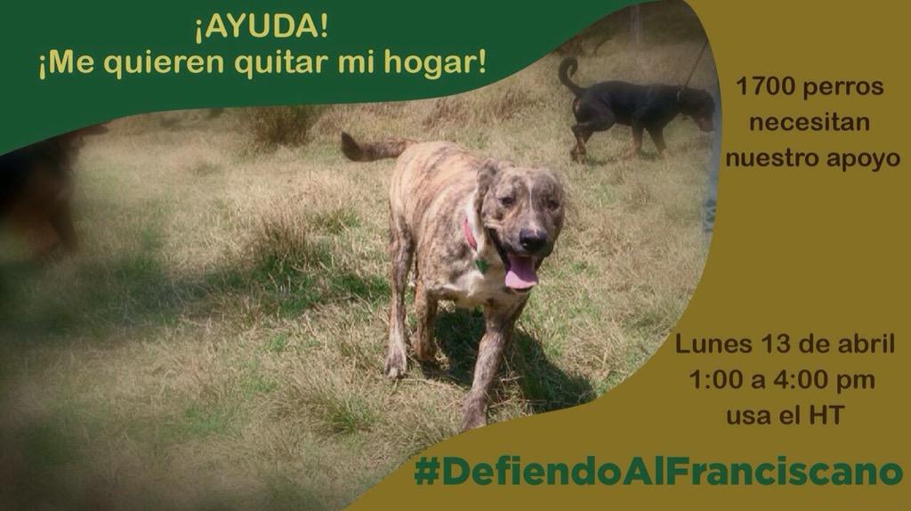 davefridman's tweet photo. No podemos dejar que cierren este albergue para perritos!!! Lets make some noise!!! #DefendiendoAlFranciscano RT!!! 🐶 http://t.co/xq9LZqjWlZ