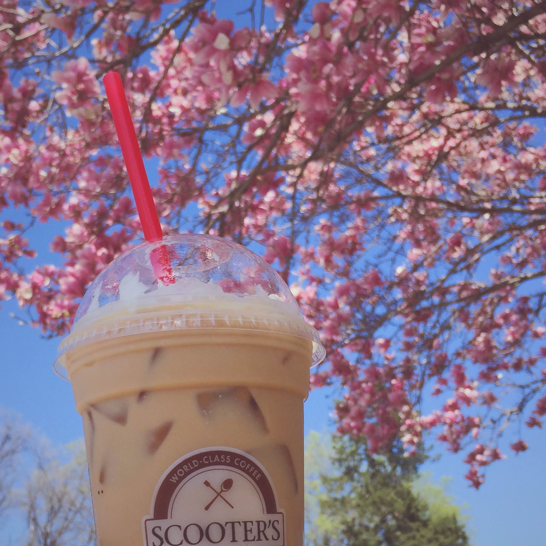 Scooter's Coffee on Twitter "Dreamin' of our new Vanilla White Mocha
