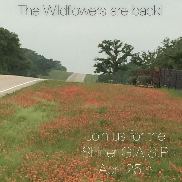 ShinerGASP's tweet photo. Wildflowers are back! Are you ready for the ride? #ShinerGASP #cycling #shinerbeer #austincycling http://t.co/GxAusdBQVb