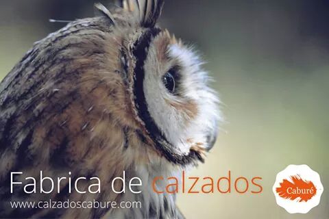 cabure fabrica de calzados