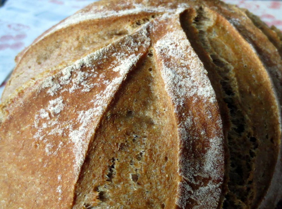 A mostly whole wheat loaf... Don't you wish home.stead cafe was open already? #homestead
bit.ly/1GfAnSV