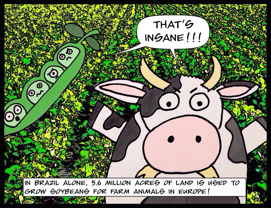OlgaLinguini's tweet photo. Vegan Fact of the Day - Soybeans of Brazil #vfotd #vegan http://t.co/VqOOnyjHLA