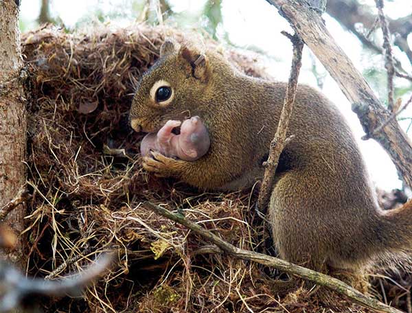 12 Of The Cutest Parenting Moments In The Animal Kingdom 

Found at bit.ly/1xADotV