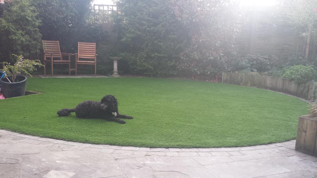 Pet friendly artificial lawn installed in Hextable today...happy customer and the dog approves too!!