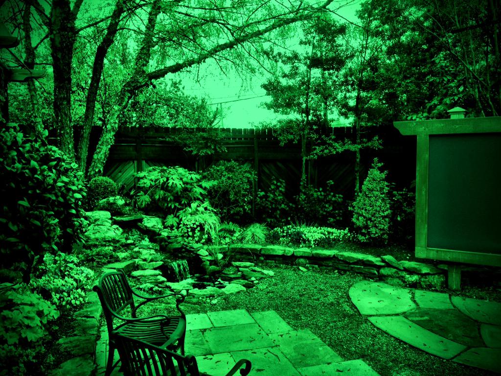TimBuckleyWX's tweet photo. In the middle of the #pollenvortex, our weather garden looks like this. #notreallythatgreen #feelslikeitthough http://t.co/jV41DWabao
