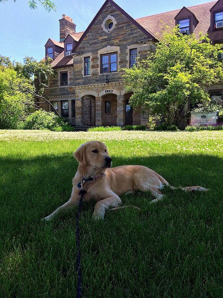 Brett Kast tweet media