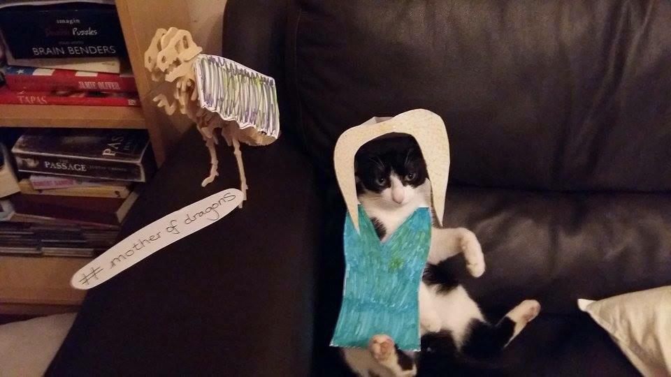 royisacat's tweet photo. @BuzzFeedUK http://t.co/r6bECFImV9