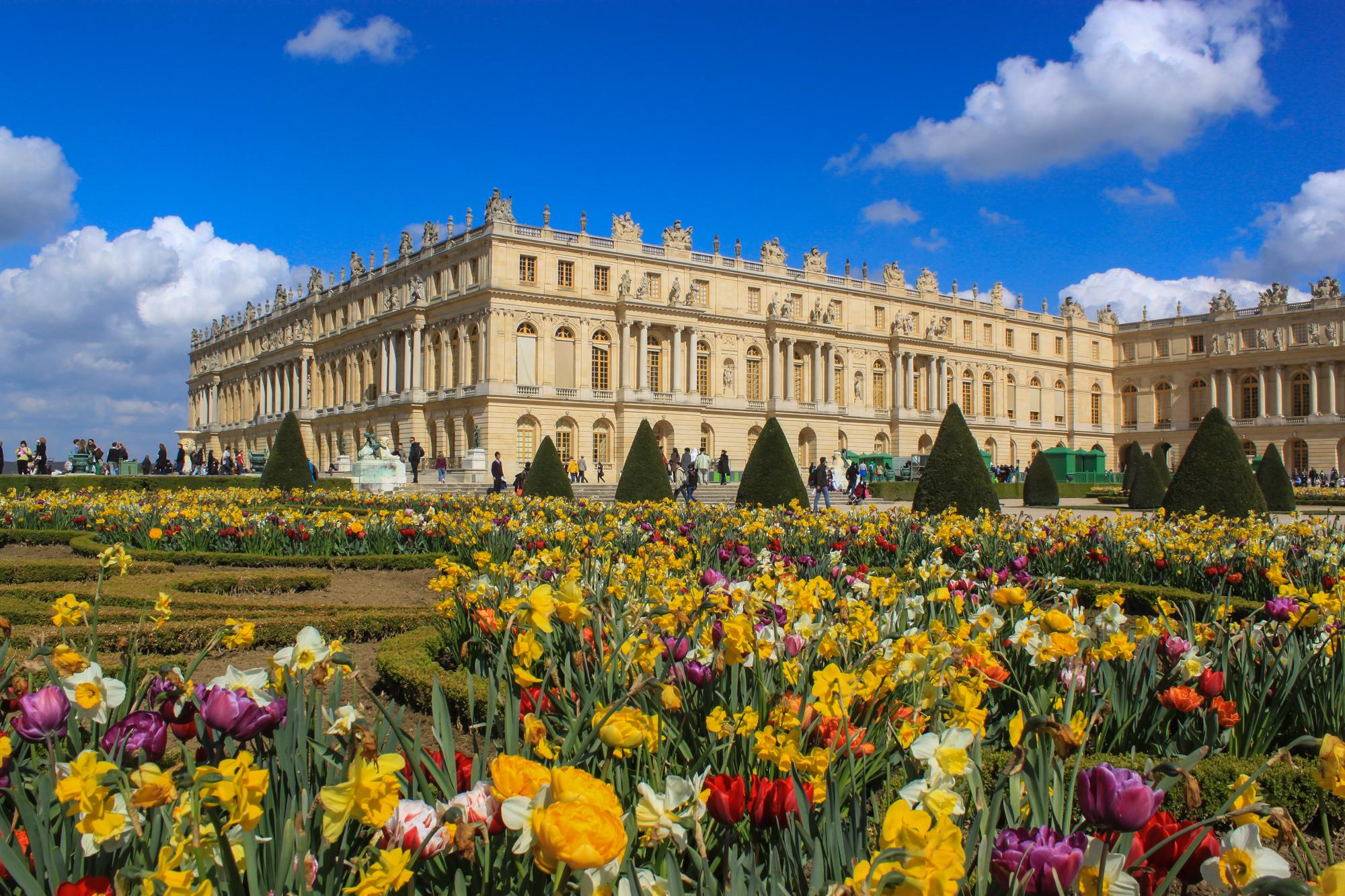 Fr du Versailles цветок