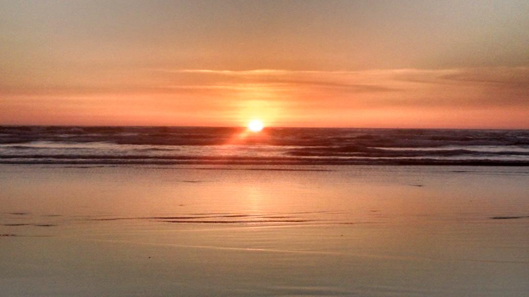 Matt Clapper tweet media