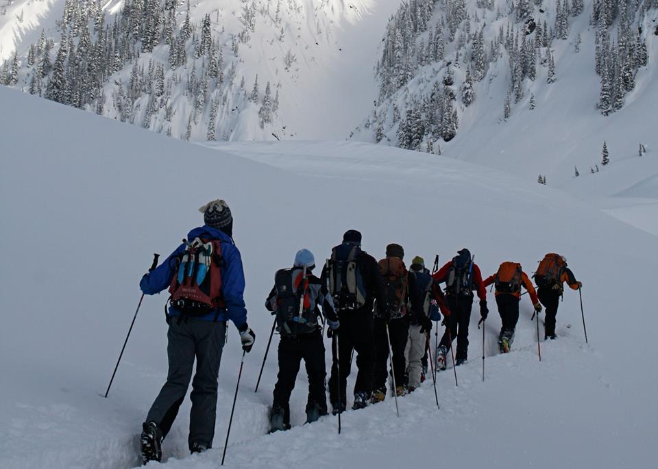 Who else would love to do this right now?