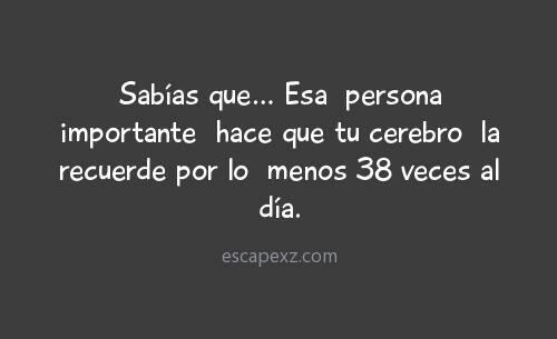 Crisbix44's tweet image. Sera #MiDai?