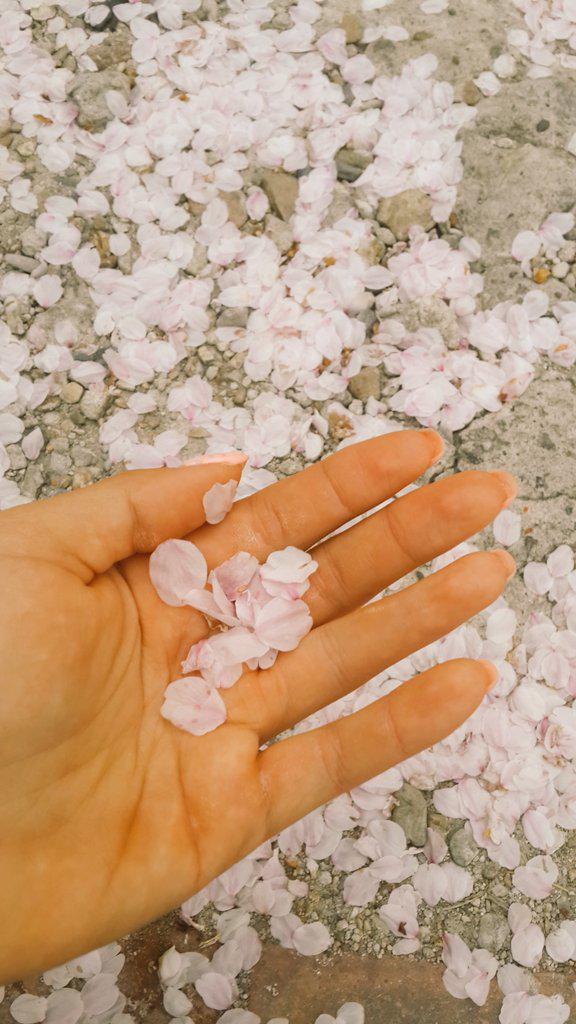 ksy2's tweet photo. 그래도 나 사랑하지..? http://t.co/ETxzBzTvgY