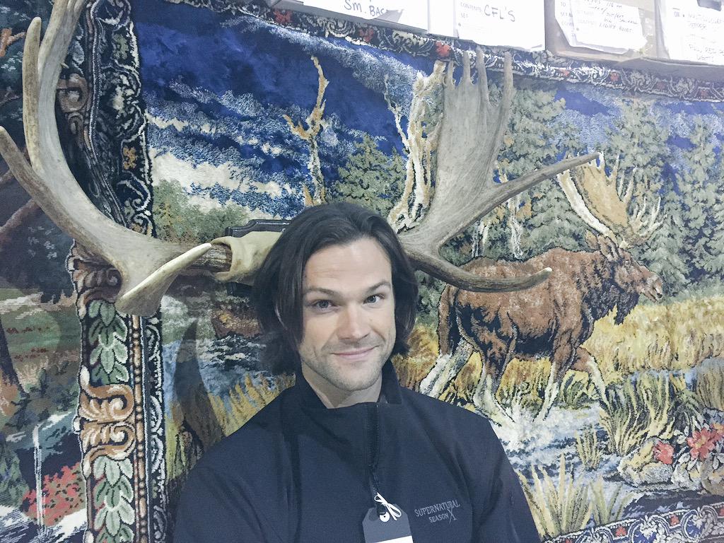 jarpad's tweet image. Waddaya think? Too many moosies? Or just enough? Stay tuned for a fun announcement Wednesday! #AlwaysKeepFighting