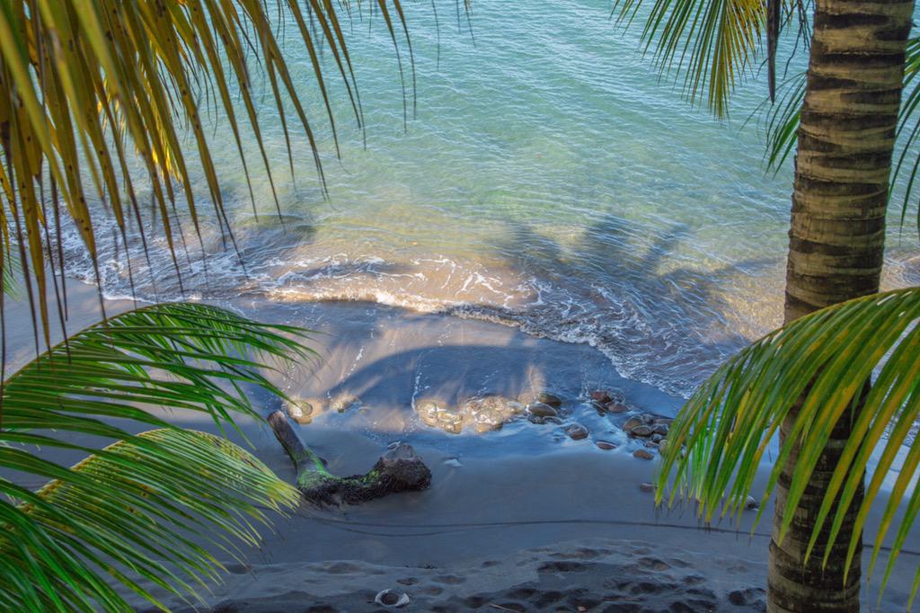 There's no place like...your editing suite. Made some reel progress today on @DominicaStory #DominicChallenge