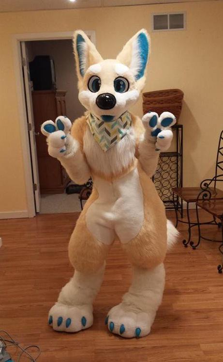 Sockune's tweet photo. Happen to get a picture of these dumb dogs at #FWA2015 ?? I'd love to see! :3 http://t.co/M1Qx97RWsX