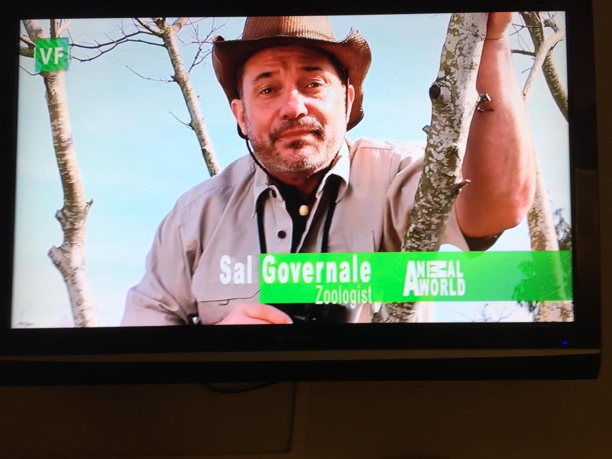 Shoutout to <a href="/salgovernale/">Sal Governale</a> in local Seattle commercial. #sternshow #royalties #143 #vernfonk #emotionalfriend