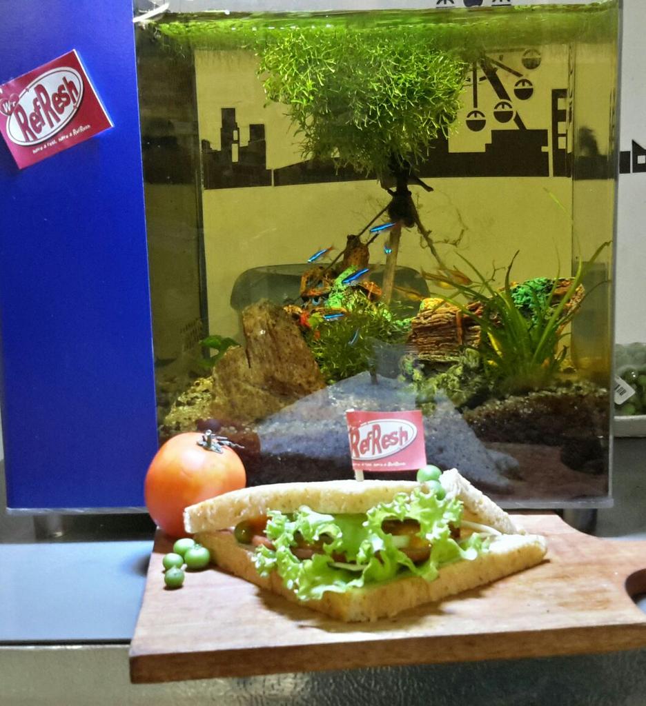 JajanBalikpapan's tweet photo. Tidak ingin menghancurkan program dietmu disiang hari? Sandwich beef &amp; telur @havearefresh solusinya, Kenyang &amp; sehat http://t.co/WjI87dUTgT