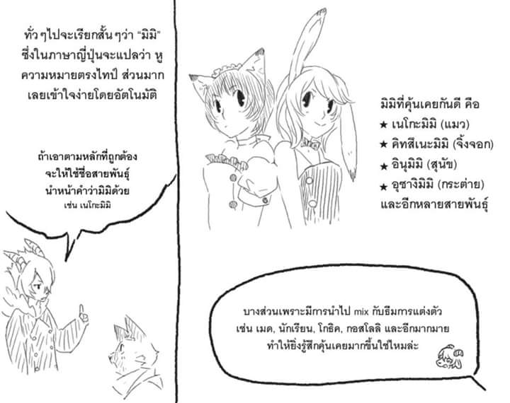 mofuparade's tweet photo. [ มิมิคืออะไร ]
โมฟุกับคุณเมียร์ อธิบายฉบับกะทัดรัดครับ

แบบเต็มๆ : https://t.co/rDGSPjV73c http://t.co/6oOksO0jWJ