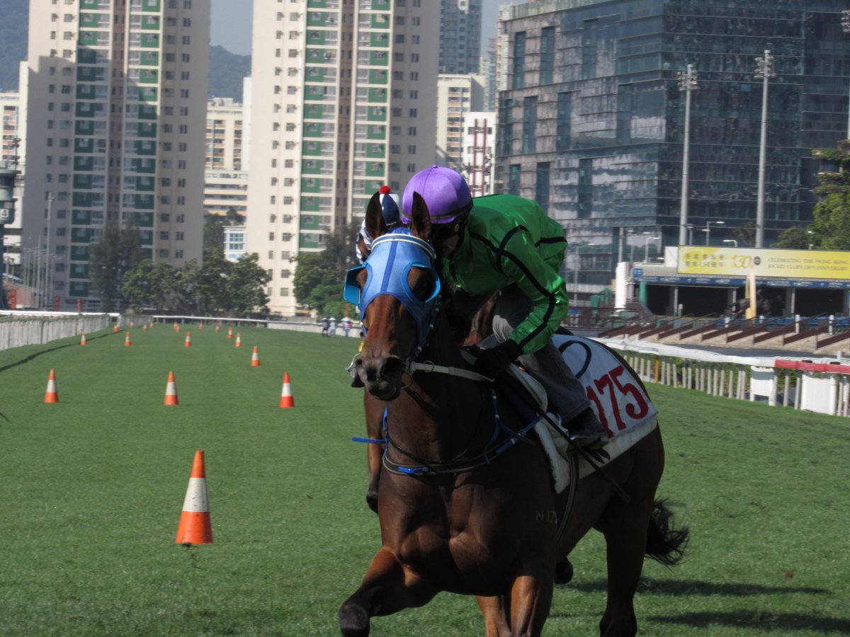 #MilitaryAttack put in a good trial at #ShaTin this morning #APQEIICup #SIACup