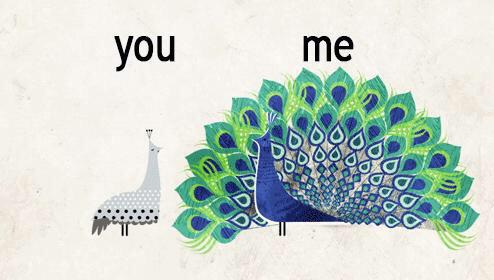 LareriaRandle's tweet photo. Basically, I'm a beautiful Peacock and your that pigeon over there πβ€ #YourBasic #IAmAPeacock #Peasant β€ http://t.co/4tlTpmxmLO