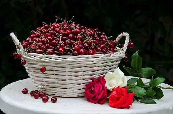 نهاركم سعيد أحبتي