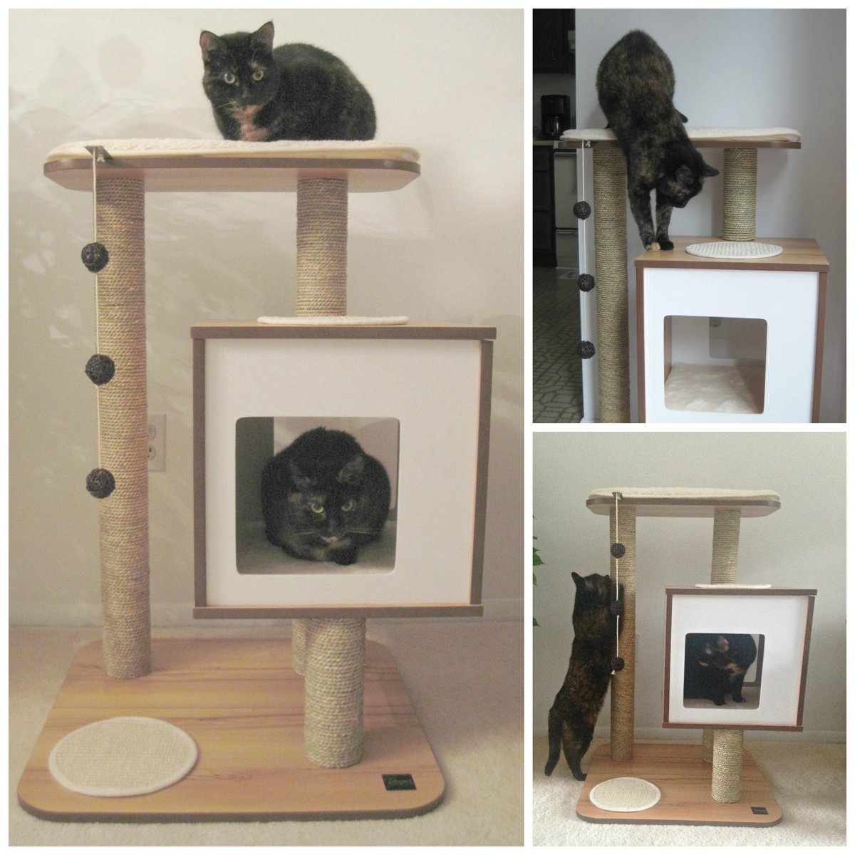 purrsingridking's tweet photo. Review: #Beautiful Vesper Cat Furniture from @RolfC_Hagen_Inc http://t.co/vQNGVrKJD4 #cats #catfication http://t.co/fYCTOtiqgh