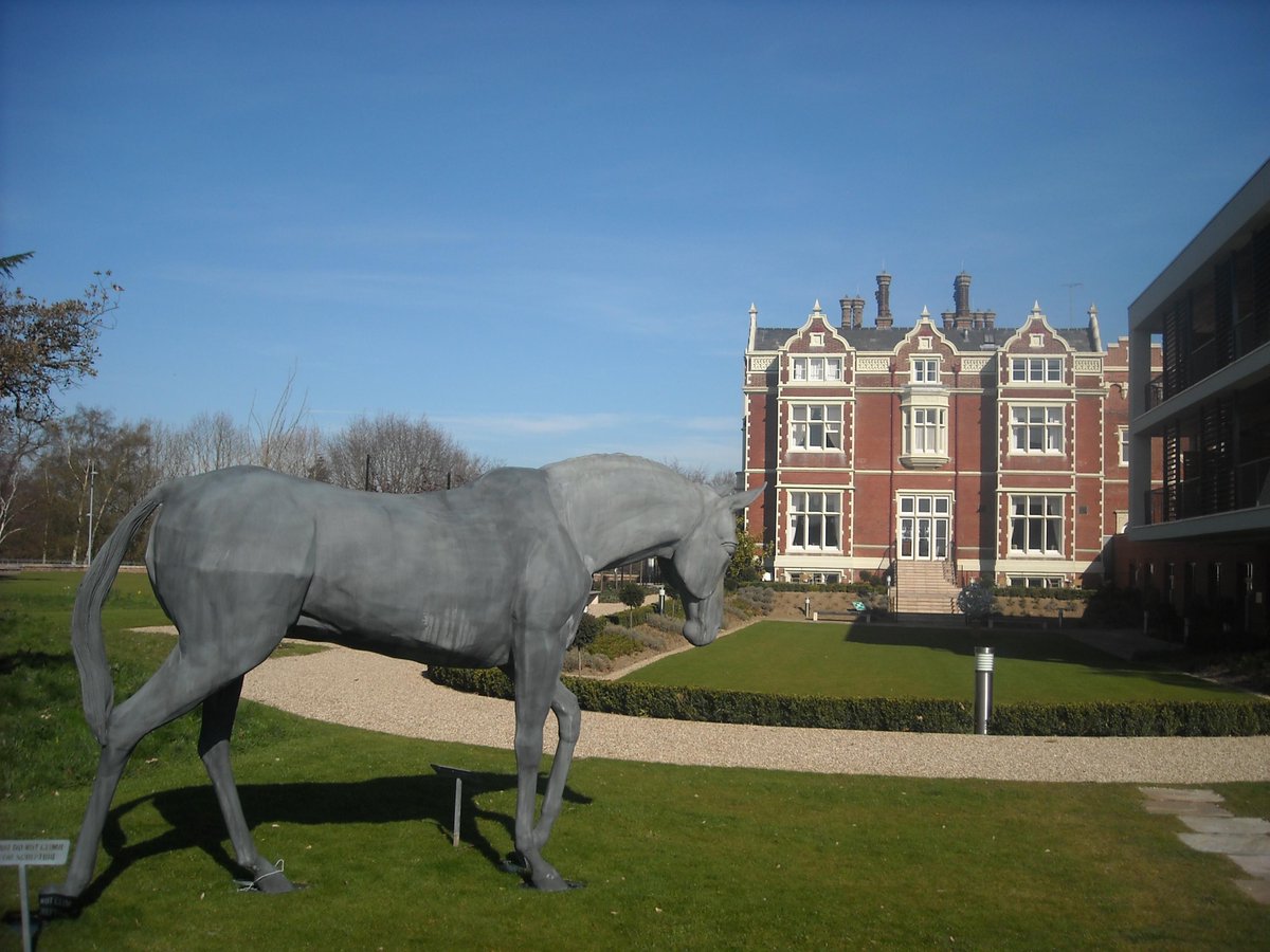 Karen_Waddy's tweet image. Fabulous life-sized horse statue @WivenhoeHouse #statues