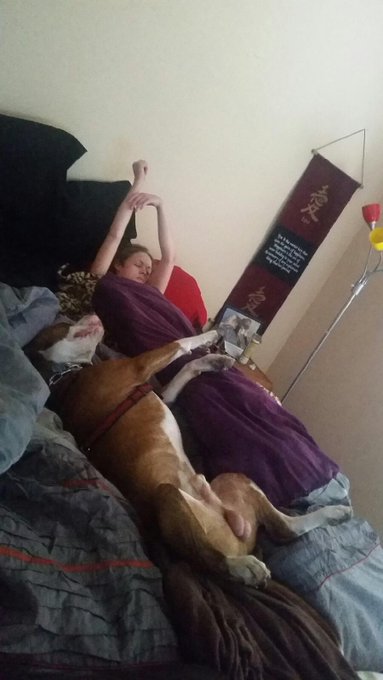 Watch Katie Kox's leaked NSFW photo on TwXstars