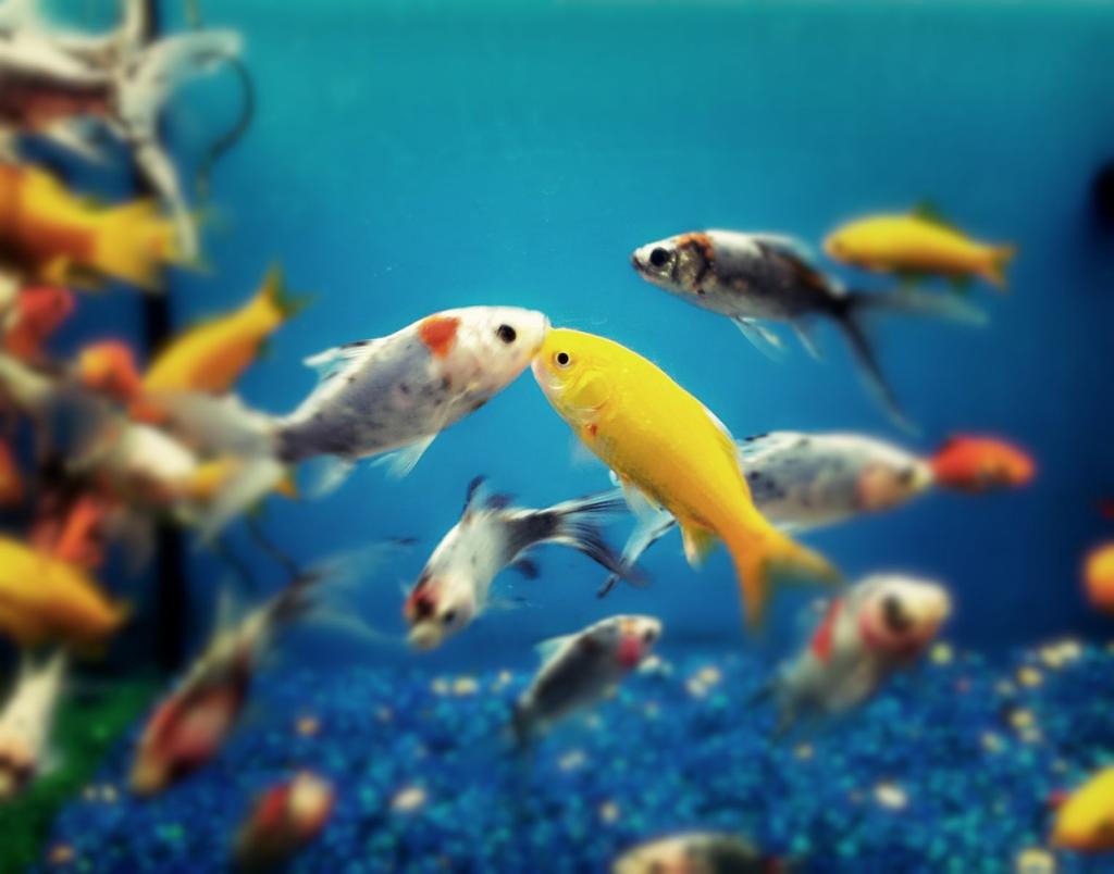 CAMRnovelas's tweet photo. Disfrutad del día como... http://t.co/J7H019GkCG