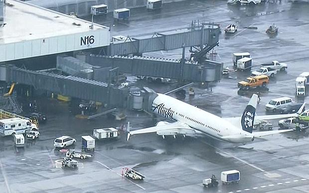 Telegraph's tweet photo. Airport worker trapped in plane's luggage hold heard screaming during takeoff http://t.co/IAzYt9fB3Y http://t.co/FT8gsUs4VR